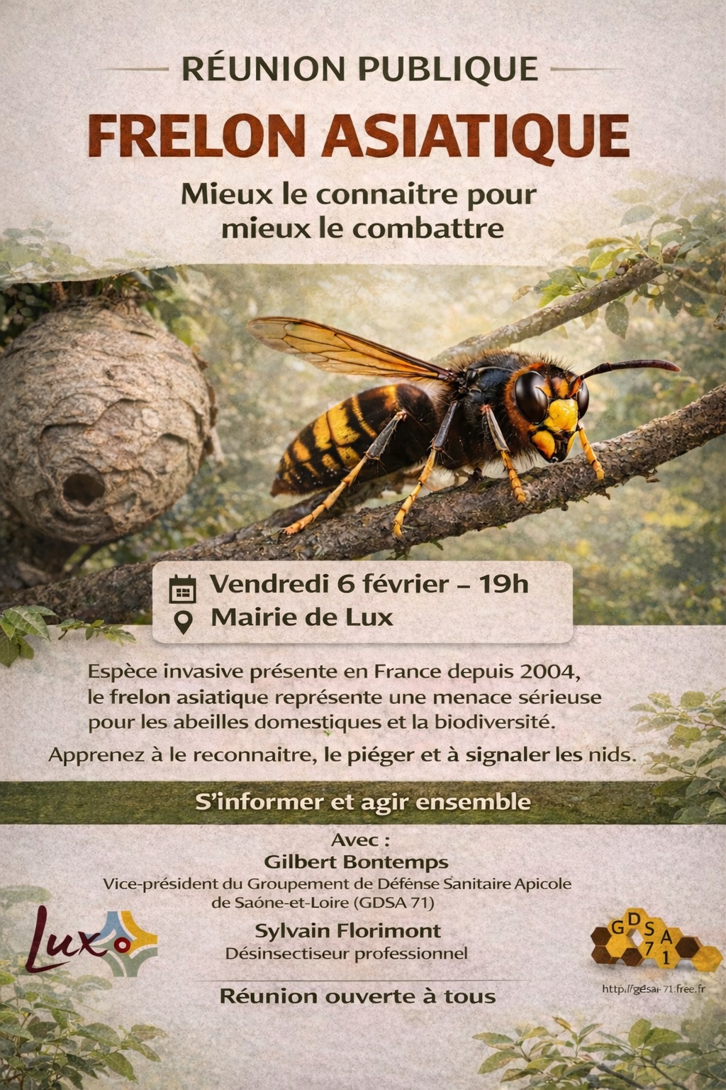 Information sur le frelon asiatique